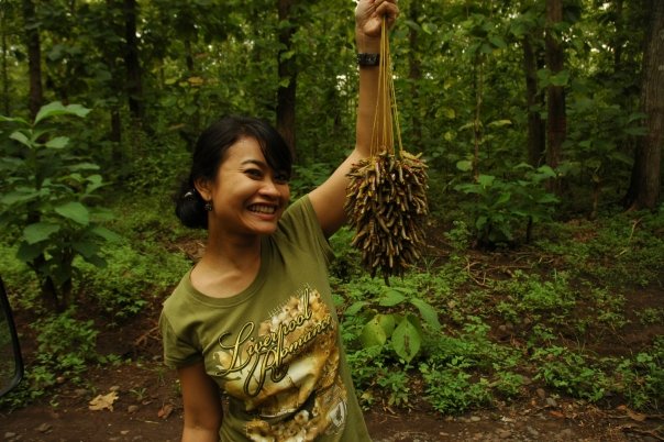 2625_67313034514_4224214_n