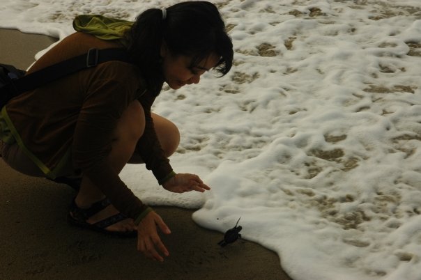 2625_67313289514_433763_n