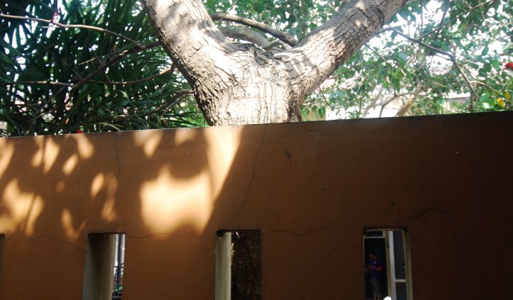 Pagar yang katanya mulai rusak karena akar pohon