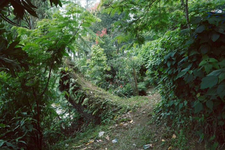 satu pojokan yang masih hijau tetapi lihat sampahnya