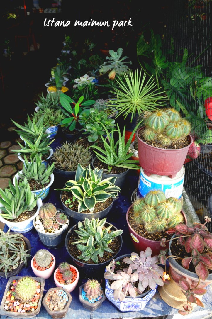 koleksi bunga di istana maimun