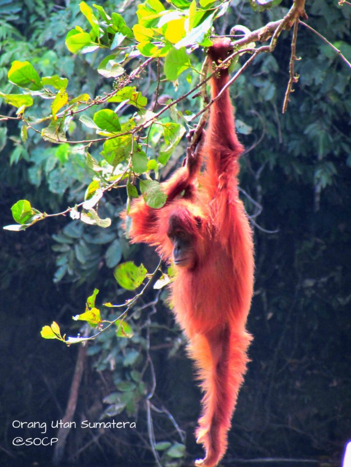 Foto paling saya suka