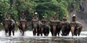 pic pinjem dari green-xplorer.com