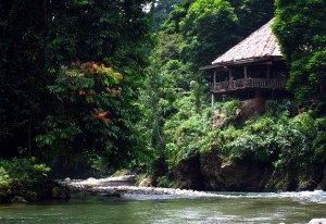 pic dari forum.vibizportal.com