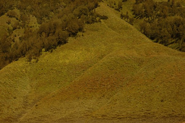 2863_77079638201_3661303_n