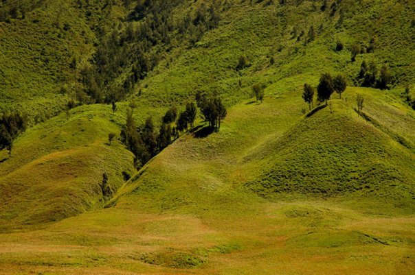 2863_77079643201_3167916_n