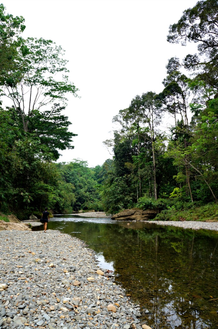 Sungai Landak di Musim Kemarau, masih jernih