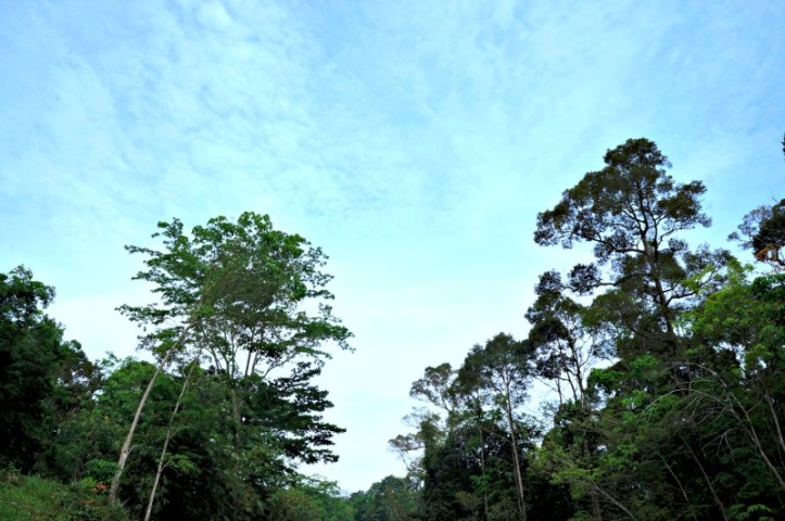 Langit sore itu *maret 2014*