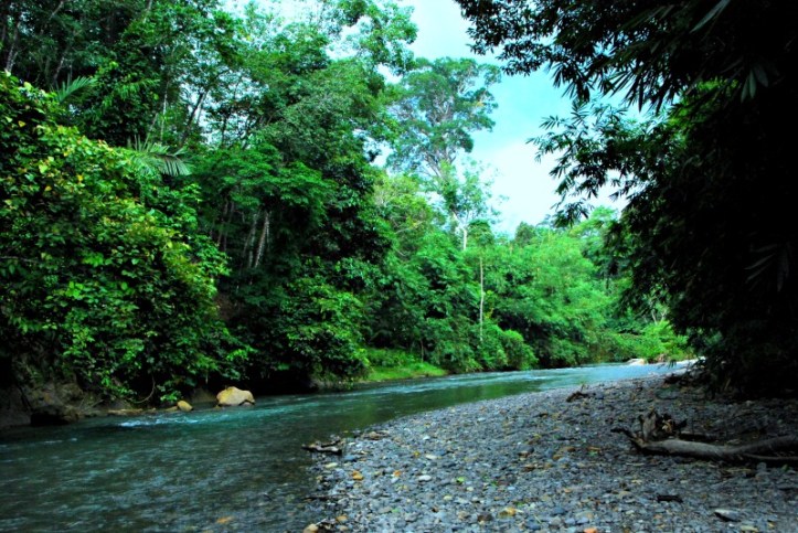 Cakep yaaaaa, ngeliat ini bawaannya pengen nyemplung aja