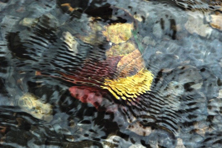 Saya curiga ini Evian hahaha