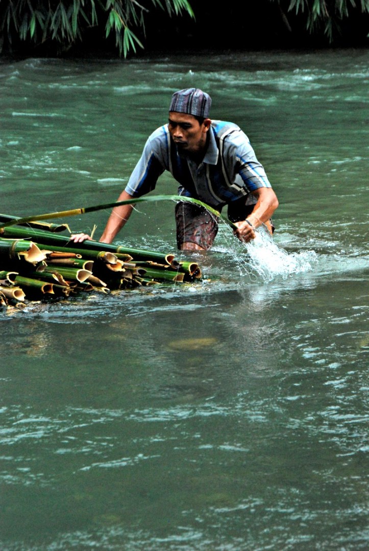 Pemandangan ini cukup menyenangkan di sore-sore 