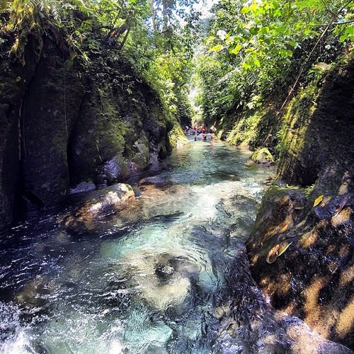 greenfamilyadventures.com