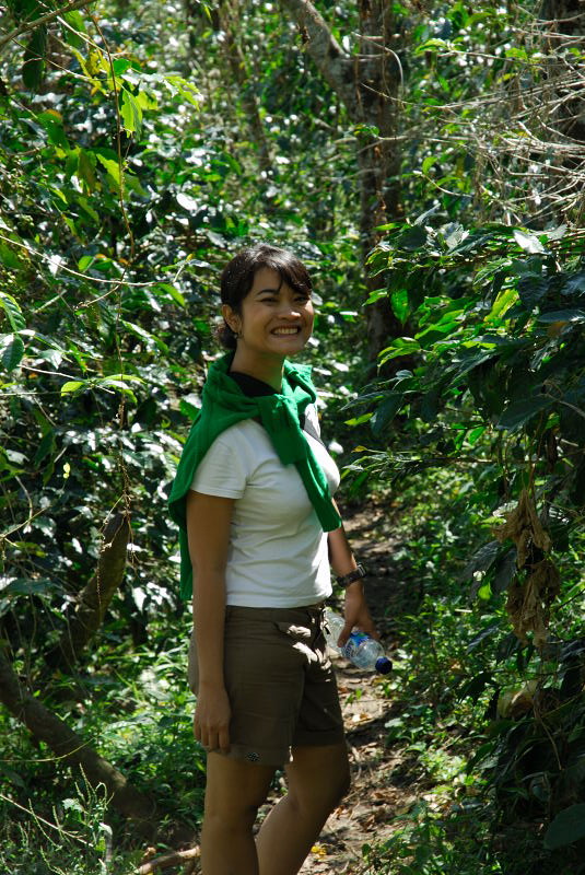 Disalah satu perkebunan kopi di Bajawa