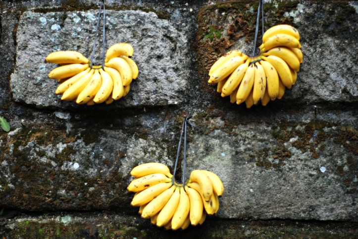 pisang-pisang di dinding. 