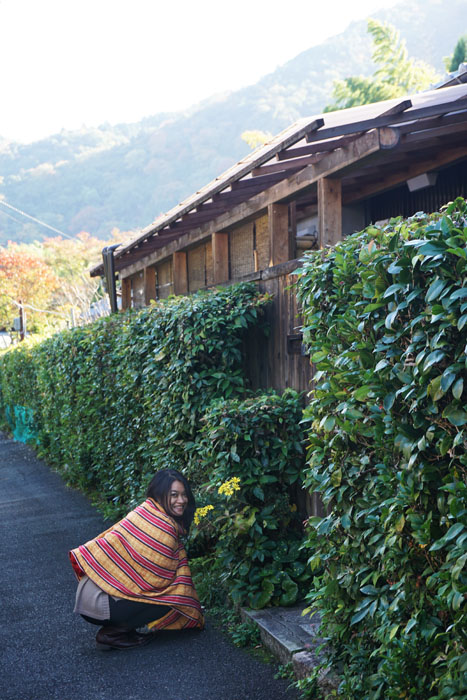 "When I speak My lips feel cold -  The autumn wind." -   Basho