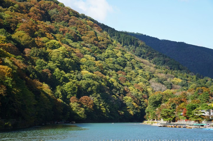 “Autumn is the hardest season. The leaves are all falling, and they're falling like they're falling in love with the ground.”  ― Andrea Gibson Arasiyama