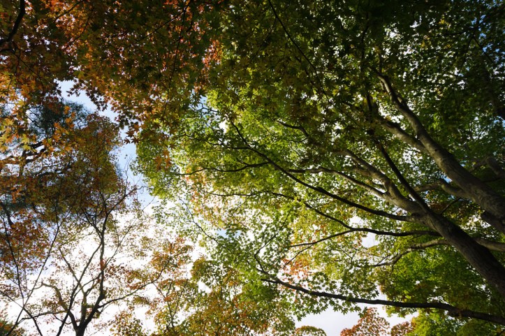 “APRILS HAVE NEVER MEANT MUCH TO ME, AUTUMNS SEEM THAT SEASON OF BEGINNING, SPRING.” —TRUMAN CAPOTE, BREAKFAST AT TIFFANY’S 