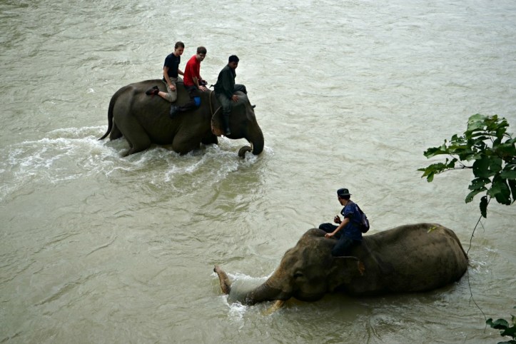 Seruu banget karena gajahnya suka banget mandi