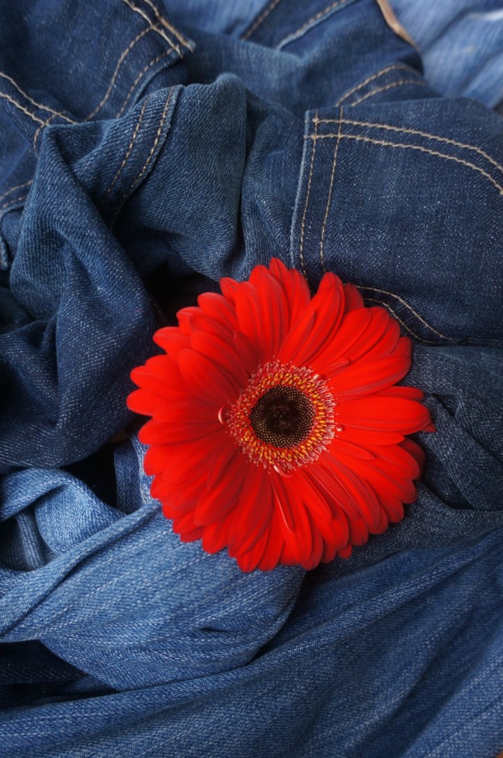 ???????????????????????????????