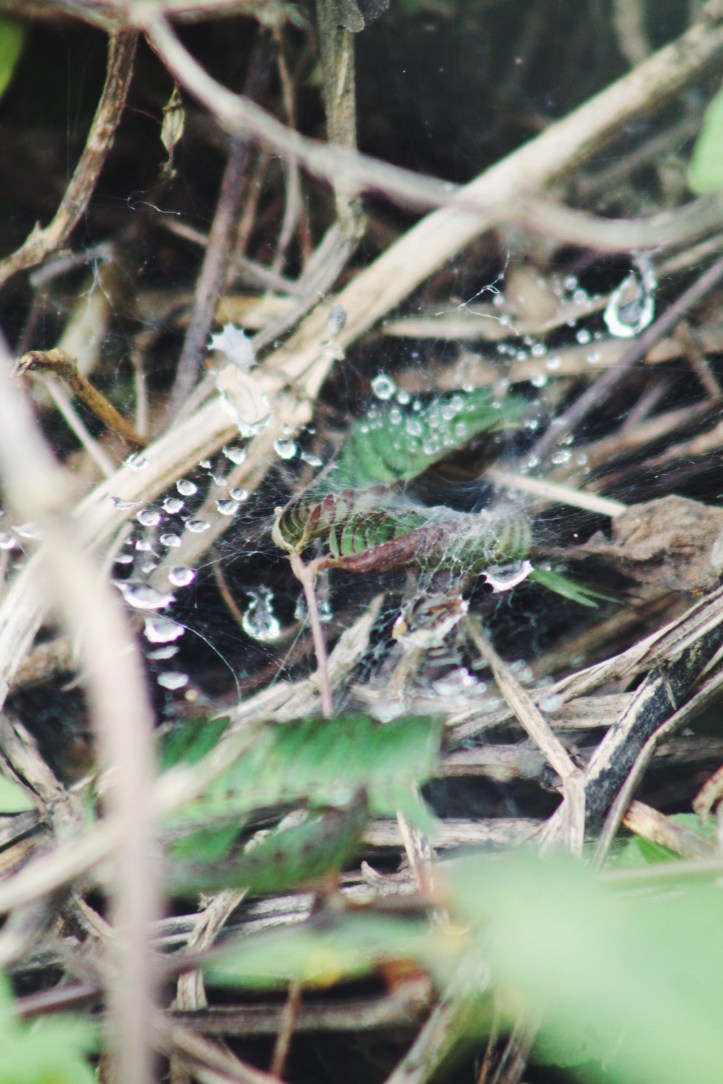 Foto iseng sambil nungguin pesawat nyungsruk