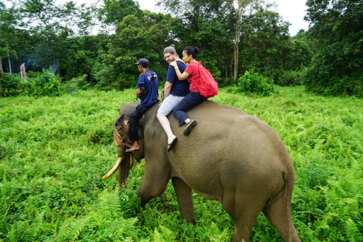 Tulang ekor udah lumayan nyut-nyutan karena gajahnya mulai ngelewatin jalanan yang naik turun