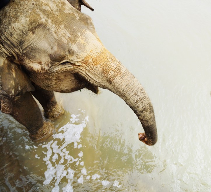 Foto was taken by Dave