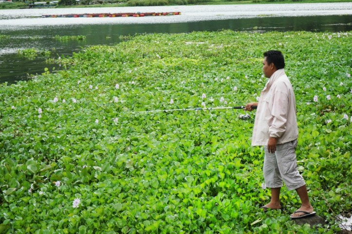 Pemancing dimana-mana