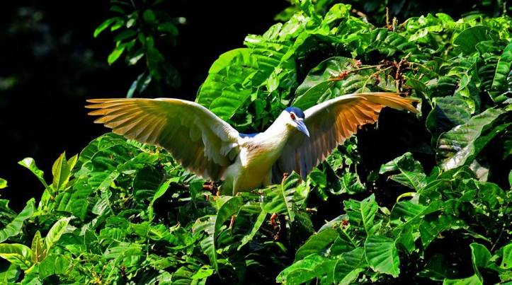 Foto dari FB https://www.facebook.com/chairunasadhaputra?sk=wall