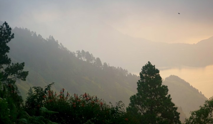 Dari Kodon-kodon cafe