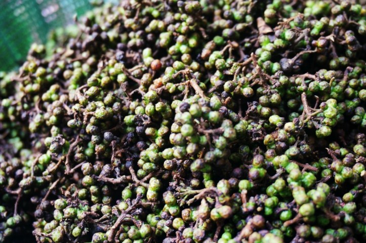 Andaliman, my favorite