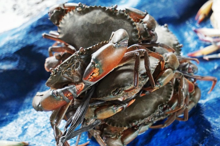 Kepiting, arghh pengen bawa pulang tapi siapa yang masak?