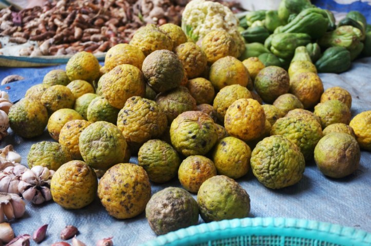 Jeruk purut yang mulai layu :(