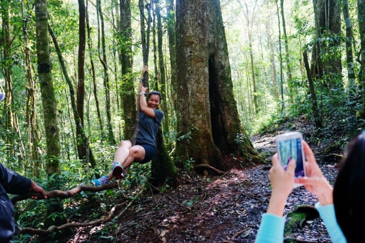 Swing.........berasa Jane