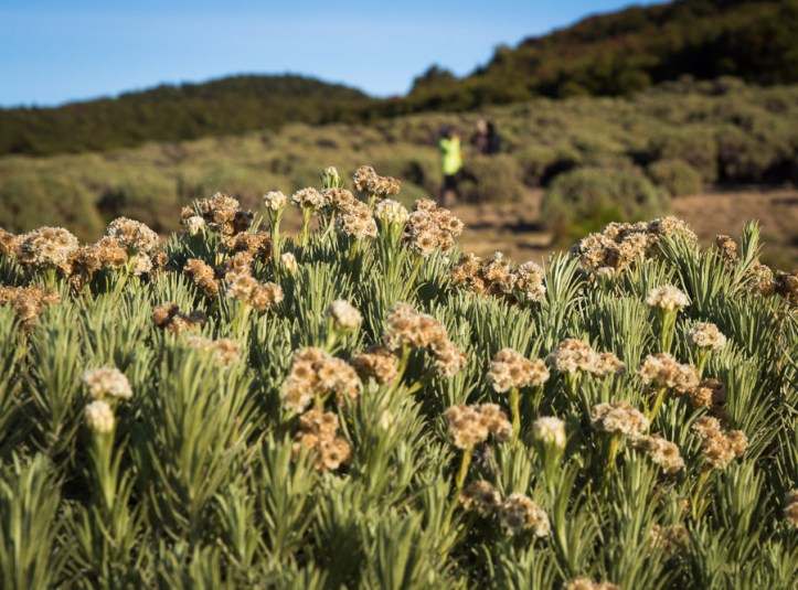 Pic source : www.wiranurmansyah.com (Wira, pinjem fotonya, ya)