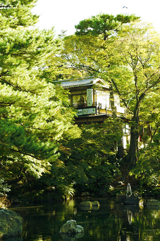 What do you think? anyone want a house "rumah di atas pohon?"