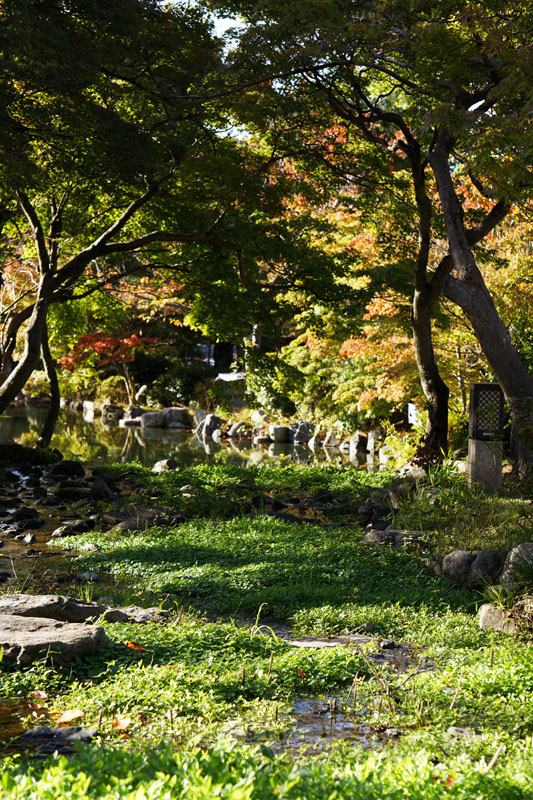 Saya sempet lama banget duduk-duduk di deket taman ini dan lama-lama jadi mikir jangan-jangan peri-peri dan kurcaci itu beneran ada. Parah nih, ngayalnya haha. Pantesan komik Jepang luar biasa ngayalnya ya.