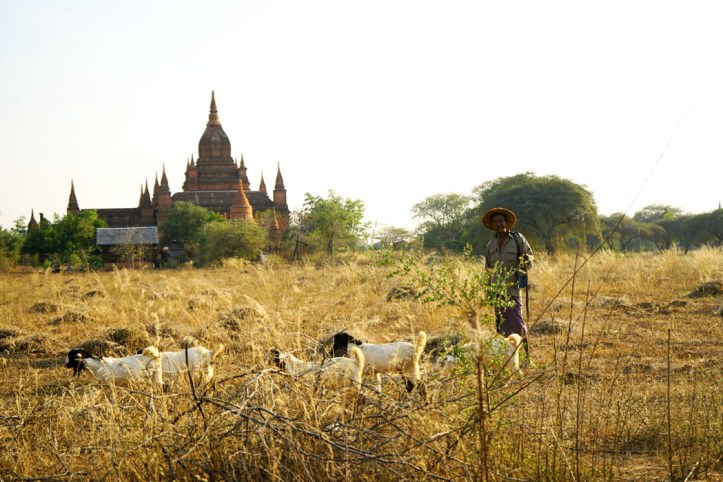 Bagan - Myanmar