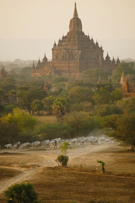 Bagan - Myanmar