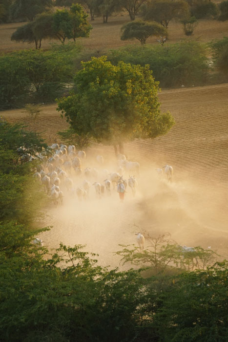 Bagan - Myanmar