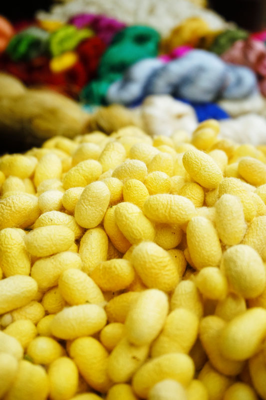 Jim Thomson Museum Bangkok