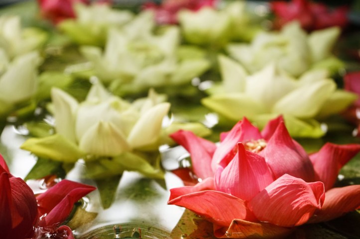 Jim Thomson Museum Bangkok