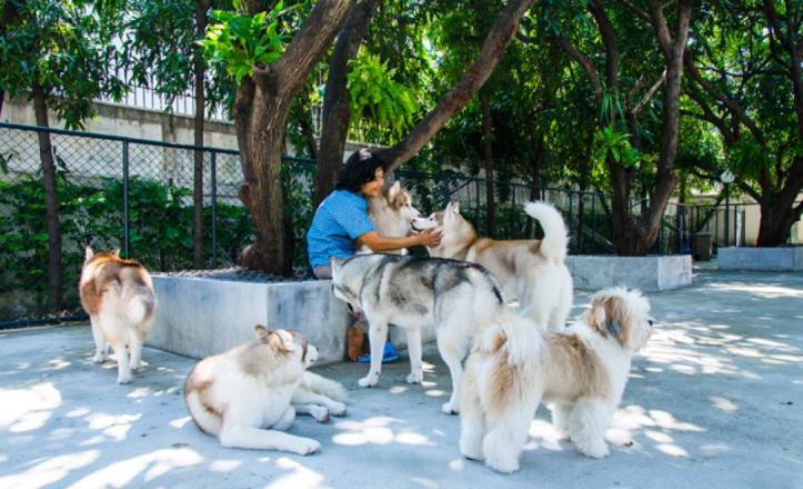 Pic Source : bk.asia-city.com