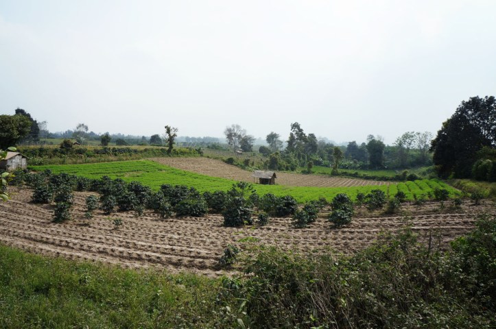 tanah pertanian di sekitar gunung Sinabung