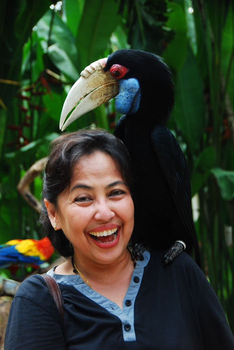 Bali Bird Park