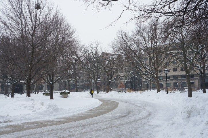 Chicago University