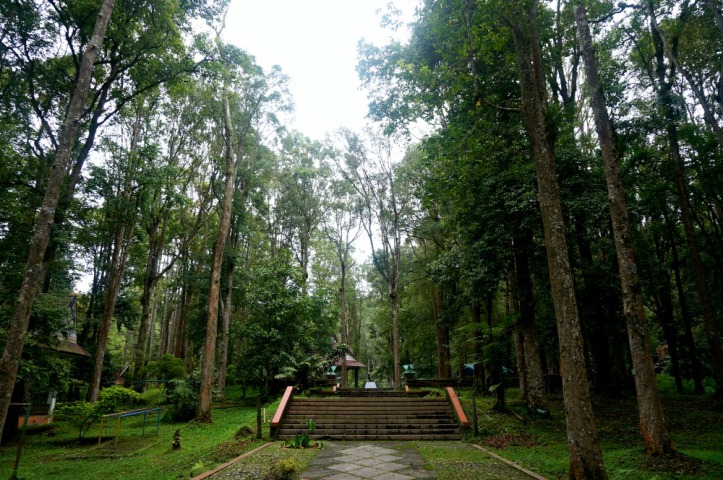 Taman Hutan Raya (Tahura) Berastagi