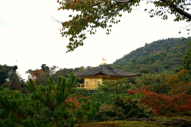 Golden Temple Kyoto-Jepang