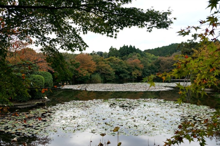 Golden Temple Kyoto-Jepang
