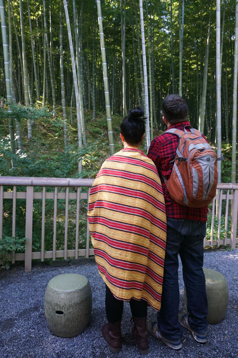 Arashiyama bamboo groves