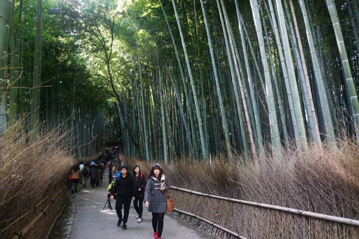 Arashiyama bamboo groves